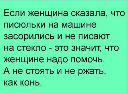 i (1).jpeg