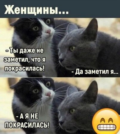 i (2).jpeg