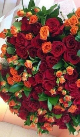 image (21).jpeg