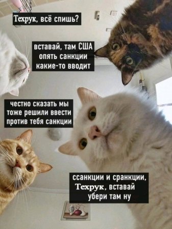 санкции.jpg