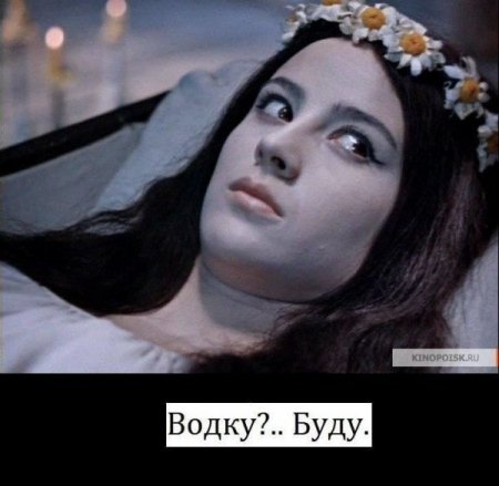 1701169483.jpg