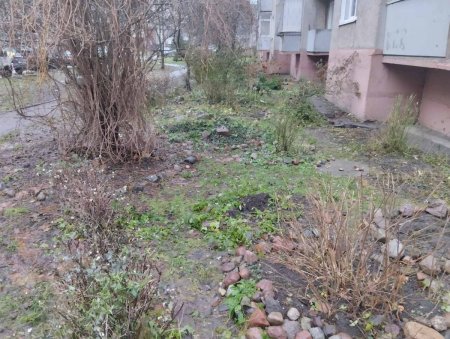 изображение_viber_2023-12-16_16-46-01-096.jpg