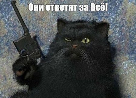 ответят.jpg
