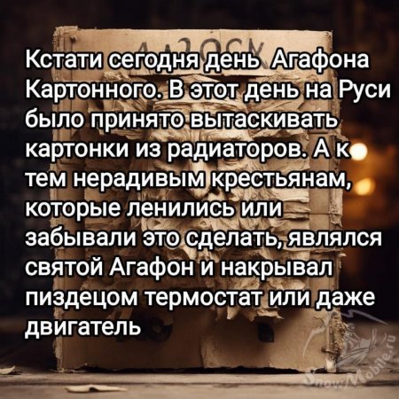 IMG-20240319-WA0003.thumb.jpg.78cd830240453b67c6406be0dc48a281.jpg