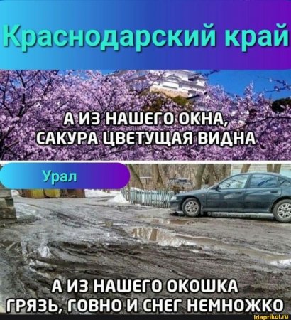IMG-7802a4ade89e1c32576ba9a439f6d1f0-V.jpg