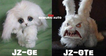шубка.jpg