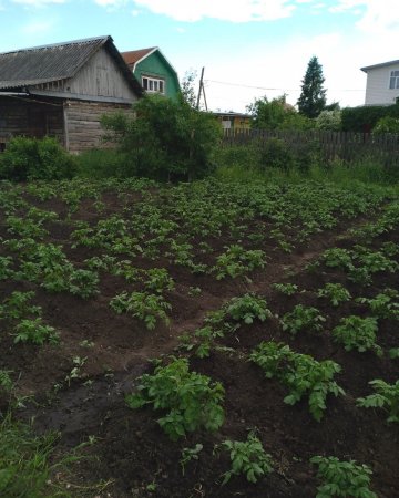 20240622_185545.jpg