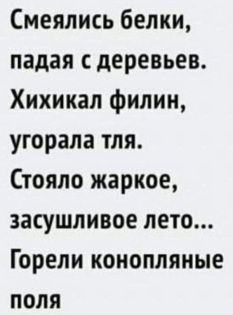 поля.jpg