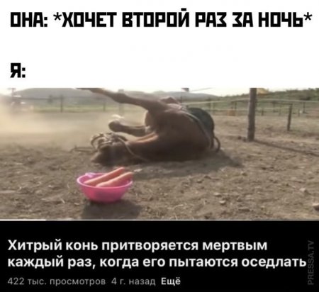 хк.jpg