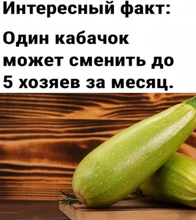 1675523384_www-funnyart-club-p-prikoli-pro-kabachki-vkontakte-2.jpg