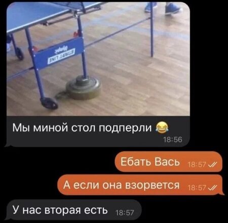 мина.jpg