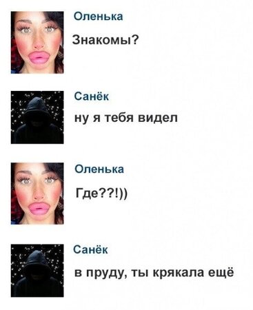 утка.jpg