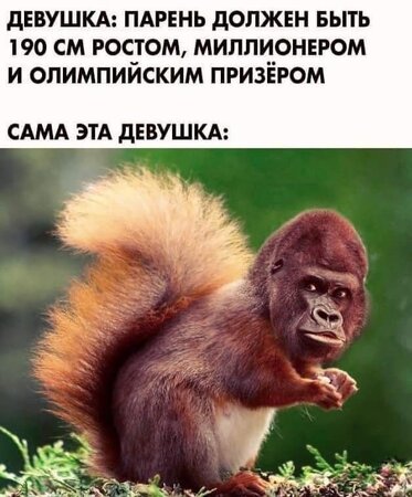Девушко.jpg