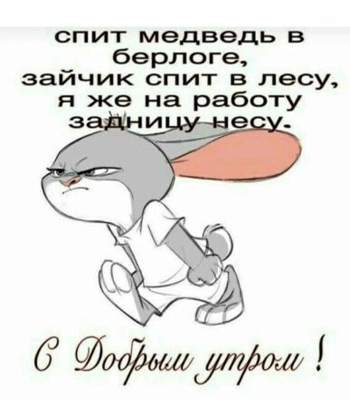 IMG-e3b3b9ae67bc37f0a94d24b921e171a0-V.jpg