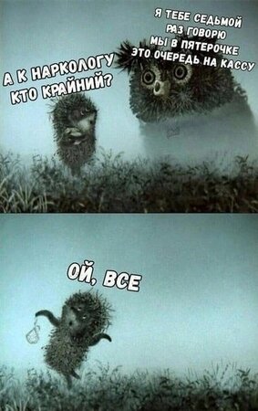 ёжык.jpg