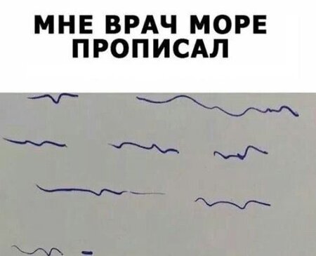 955557da.jpg