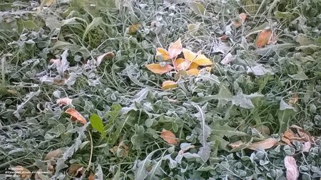 WP_20241002_07_54_51_Pro.jpg