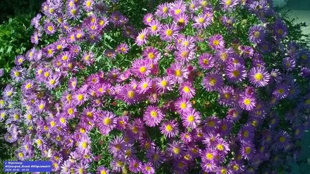 WP_20241002_14_20_54_Pro.jpg