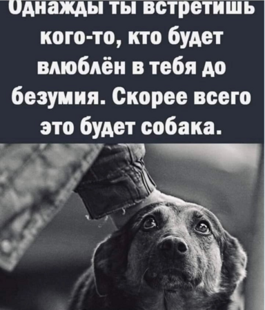 Собакен.png