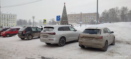 IMG_20241215_151654.jpg
