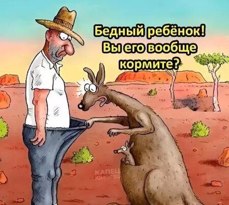 кенга.jpg