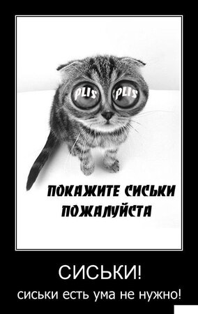 u_638d71c1e32a42b1c7cf20e1f5aa16e6_800.jpg