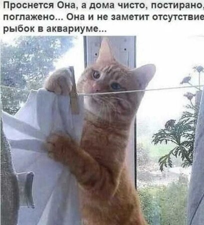 рыбки.jpg