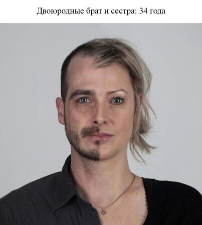 румстер.jpg