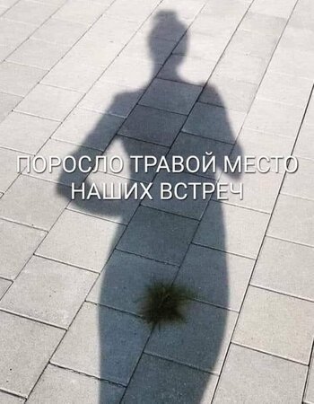 yjovlyrb_lg.jpg