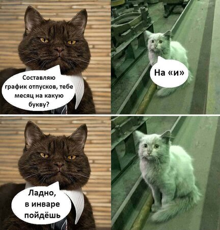 zRhohvm5zyT_WGy4aN7AOqui-U0Kg__G31xNK-PXVx_OLMV145QU0KeIILz9HYqFEs_cobJVK_esJI_1jaa0Sr5J.jpg