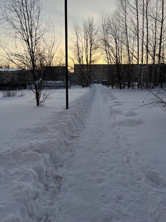 IMG_4125.jpeg