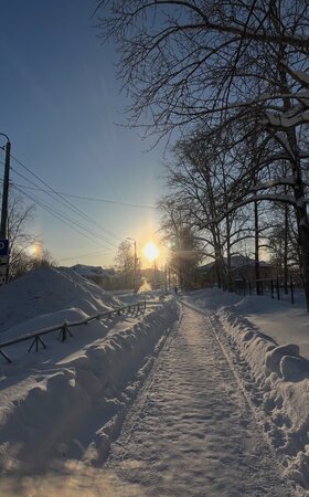 IMG_4302.thumb.jpeg.83854d7996ad6bf64b2398afaf96d93b.jpeg