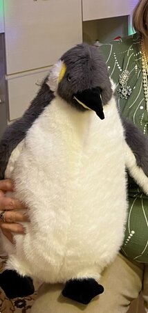 IMG_4374.thumb.jpeg.c3640b9738c741330949a460b29c1633.jpeg