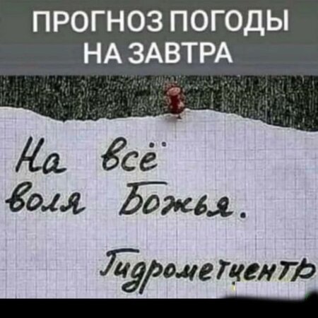 bac8e8251d3487a48c30f0aff660360d.jpg