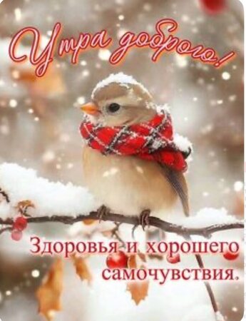 IMG_4560.thumb.jpeg.df2dece38a17a9dcd391cc1eabf3e55d.jpeg