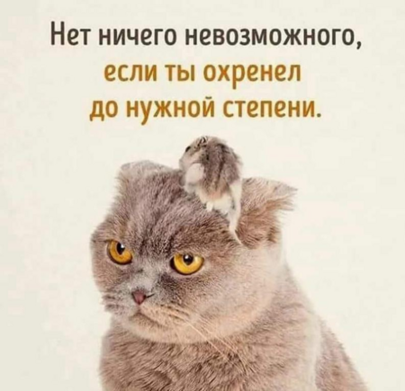 d77dce7b80cbbce0b165773761583b54.png