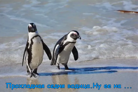 image.thumb.png.aa346f9712778911585c19577b1e09f1.png