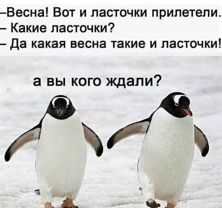 IMG_4818.jpeg