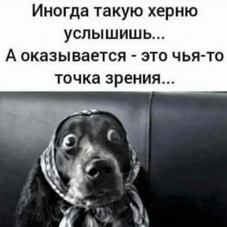 i (81).webp