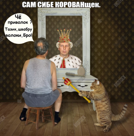 image.thumb.png.6748b73291ba739f7770b89eb9846203.png