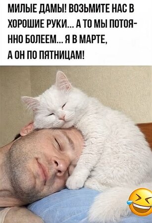.thumb.jpg.1e71247a29193507bb7b40d9f8f210d8.jpg