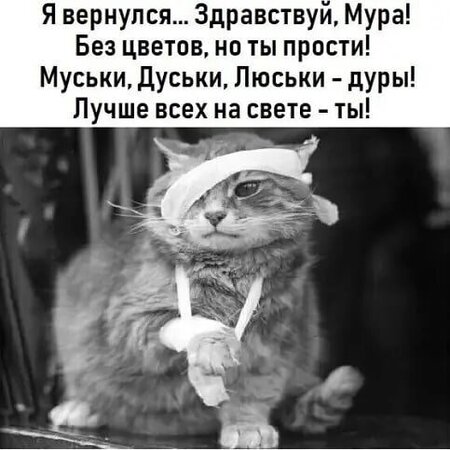 I0Vwsvhd-CzxWPM5tIHFPv1qay4avSeRRx33v9AzXY6Xf3u8II_rsGZhbzHOXQuff1cNIn8cjxTGlFwJLpDQyOMZ.jpg