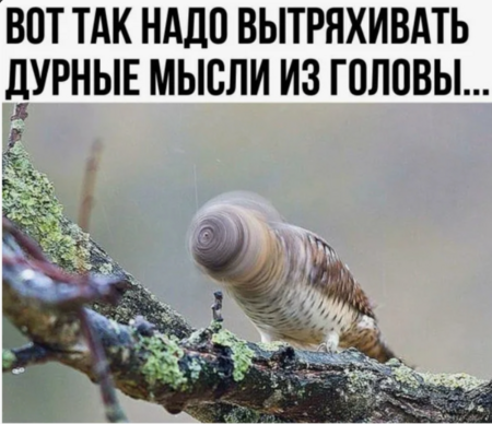image.thumb.png.d478fc52ef16c569d980a32abc6d6084.png