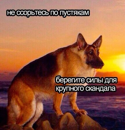 04654fdfb03395699fa67eb7f95f79a8.jpg