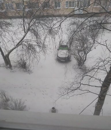 20260419_081839.jpg