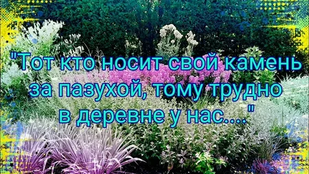i - 2026-05-10T085548.850.webp