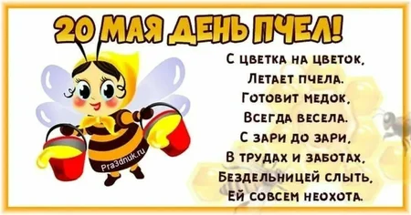 i - 2026-05-20T104207.361.webp
