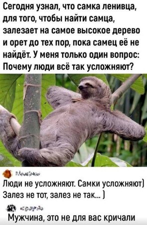 1751357882.jpg