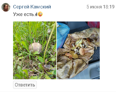 3.png.2d7dbc546193be5d74b1415eb6ef0c54.png