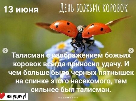 bed24caf-4da5-5597-968b-93986db88400.jpg